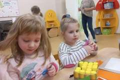 received_525427462135077-Copy