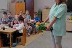 received_246744521414714-Copy
