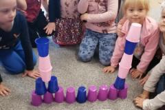 IMG_20210226_085234-Copy