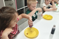 IMG20250626093153-Copy