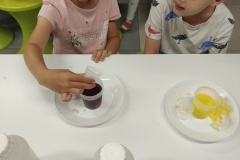 IMG20250626094356-Copy