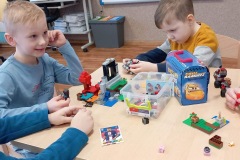 IMG_3243-Copy