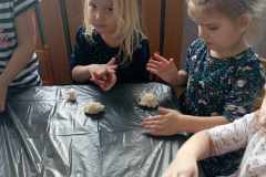 received_1060913874947393-Copy
