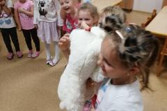 IMG_20200924_092518-Copy