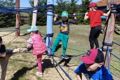 IMG20250527104550-Copy