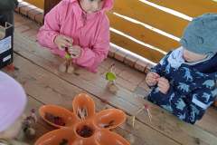 received_442475167850856-Copy