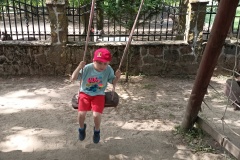 IMG20240529110230-Copy