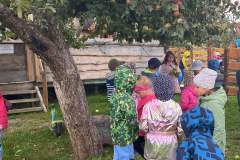 received_1229185274535772-Copy