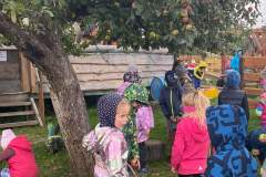 received_2125066274329880-Copy