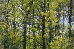 10-Copy