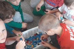 70503200_413921329264176_7693483979982241792_n (Copy)