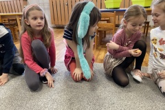 IMG_3510-Copy