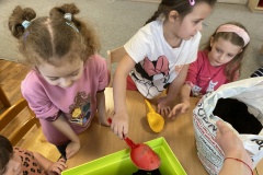 IMG_3516-Copy