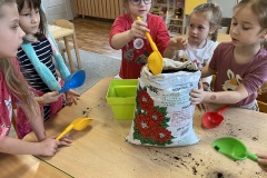 IMG_3522-Copy