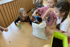 IMG_3526-Copy