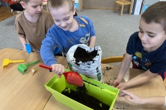 IMG_3530-Copy