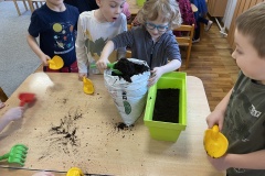IMG_3534-Copy