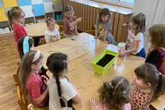 IMG_3536-Copy