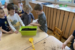 IMG_3544-Copy