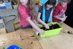 IMG_3549-Copy