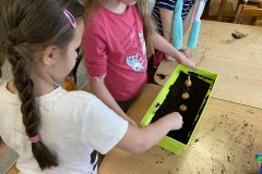 IMG_3551-Copy