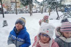 IMG-20210204-WA0000-Copy